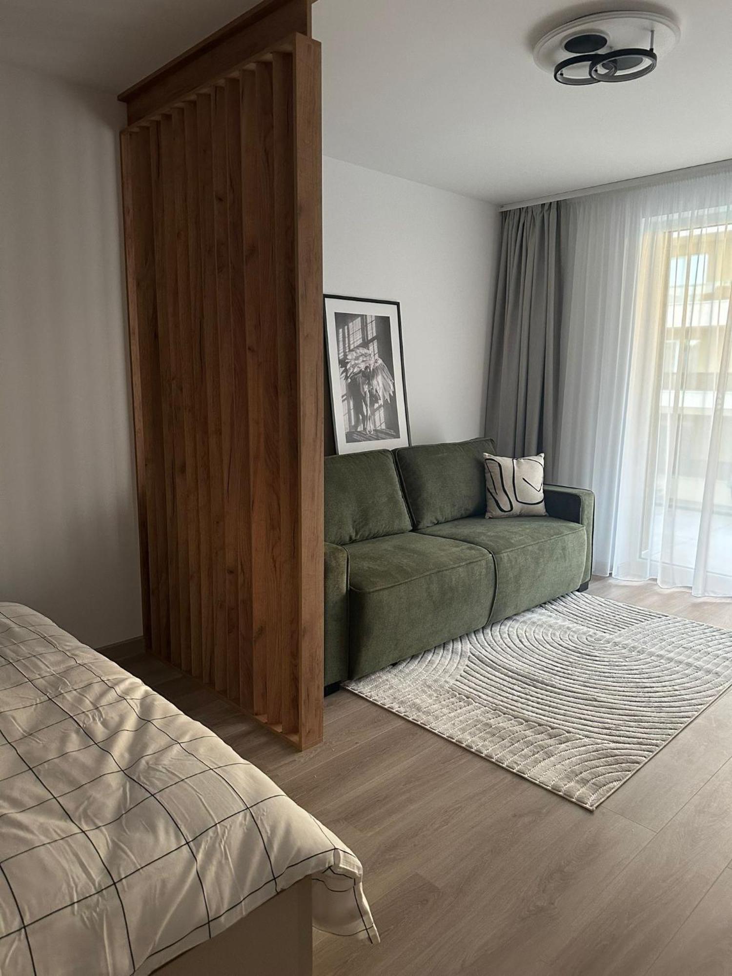 Carpathian Studio Braşov Buitenkant foto